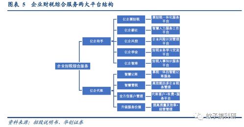 新股丨稅友股份 專注財稅信息化，信息系統集成服務助穩健成長